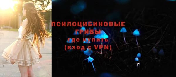 ПСИЛОЦИБИНОВЫЕ ГРИБЫ Новокубанск
