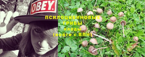 Альфа ПВП Гусь-Хрустальный